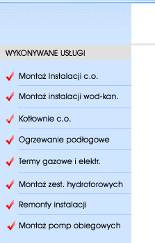 Wykonywane usugi